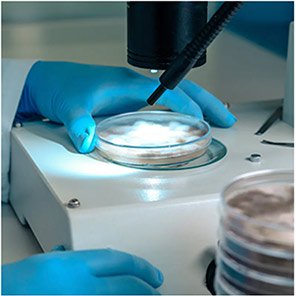 TX424 Nitrile Disposable Gloves (Box of 100)