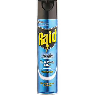 Raid Fly and Wasp Killer 300ml