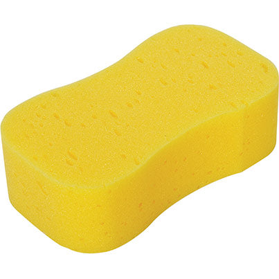 Robert Scott Jumbo Sponge