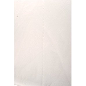 Oil Absorbent Pad (Pack of 100)
