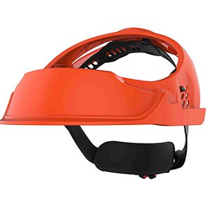 EVOGuard Browguard
