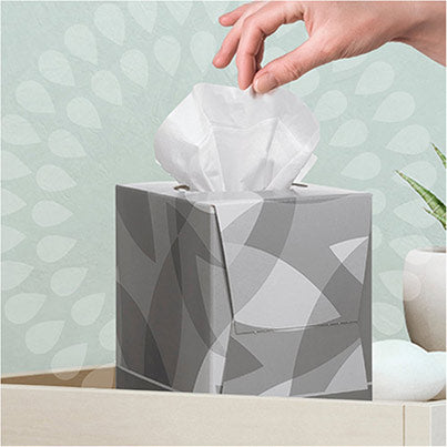 Facial Tissue Cube (Case of 12)