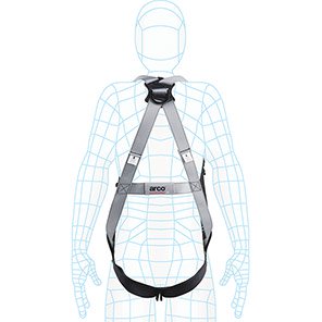 Two-Point Safety Harness