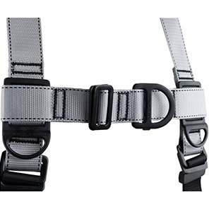 Two-Point Safety Harness