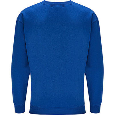 Royal Blue V-Neck Sweatshirt